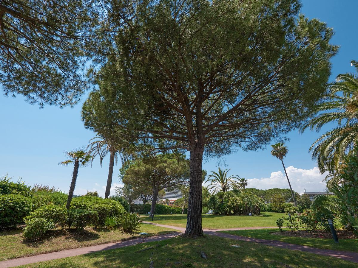 Hotel Bahia Villeneuve-Loubet Eksteriør billede