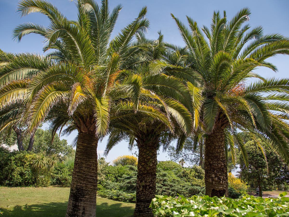 Hotel Bahia Villeneuve-Loubet Eksteriør billede