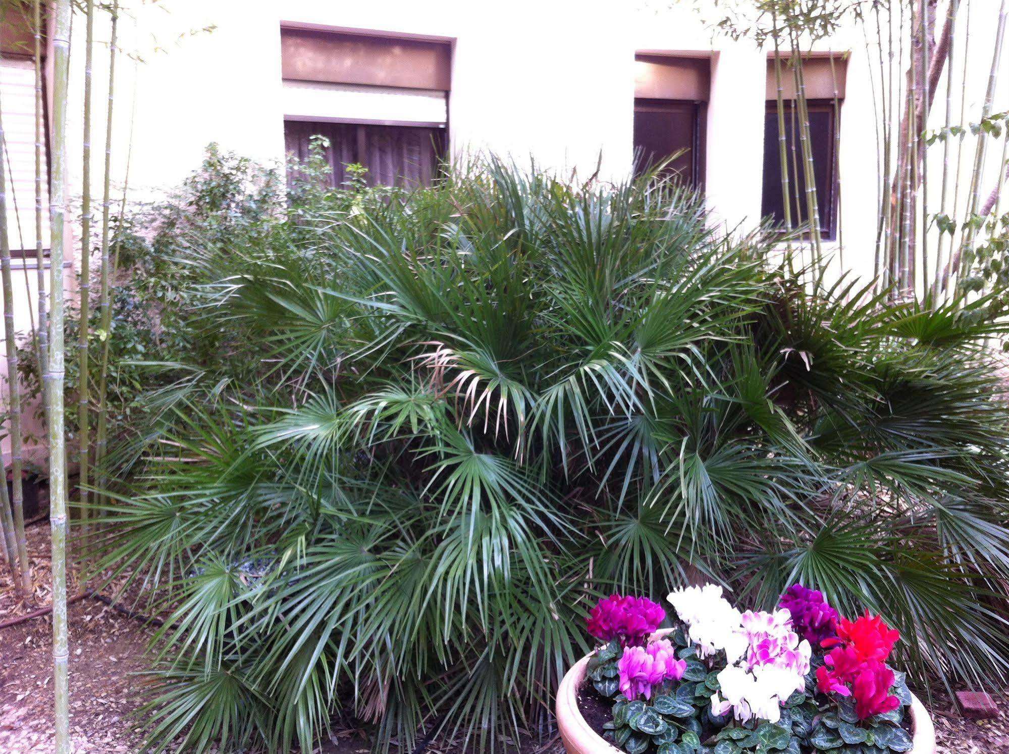 Hotel Bahia Villeneuve-Loubet Eksteriør billede